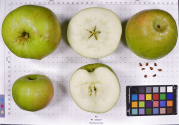FRUIT